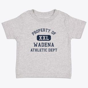 Wadena Iowa Athletic Dept Toddler T-Shirt