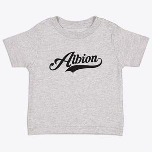 Albion Maine Vintage Team Toddler T-Shirt