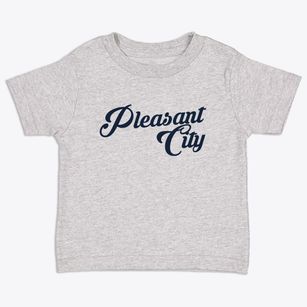 Pleasant City Ohio Vintage Team Toddler T-Shirt