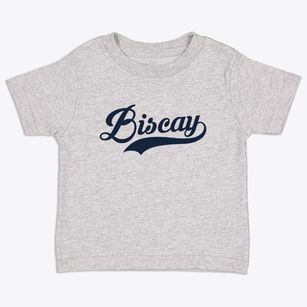 Biscay Minnesota Vintage Team Toddler T-Shirt