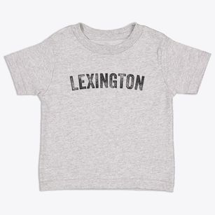 Lexington Virginia Timeless Retro Toddler T-Shirt