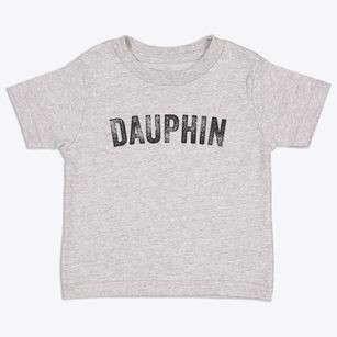 Dauphin Pennsylvania Timeless Retro Toddler T-Shirt
