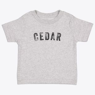 Cedar Michigan Timeless Retro Toddler T-Shirt