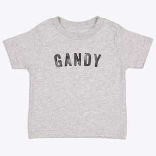 Gandy Nebraska Timeless Retro Toddler T-Shirt