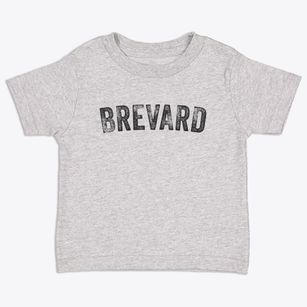 Brevard North Carolina Timeless Retro Toddler T-Shirt