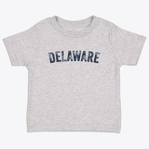 Delaware New York Timeless Retro Toddler T-Shirt
