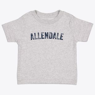 Allendale Illinois Timeless Retro Toddler T-Shirt