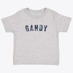 Gandy Nebraska Timeless Retro Toddler T-Shirt