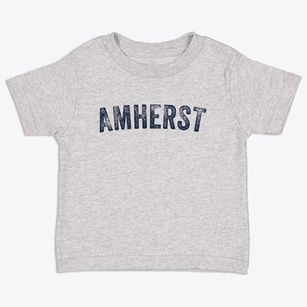 Amherst Ohio Timeless Retro Toddler T-Shirt