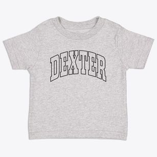 Dexter Michigan Trendy Block Toddler T-Shirt