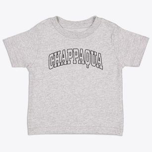 Chappaqua New York Trendy Block Toddler T-Shirt