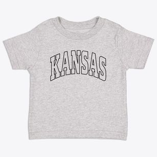 Kansas Illinois Trendy Block Toddler T-Shirt