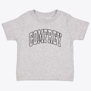 Comfrey Minnesota Trendy Block Toddler T-Shirt