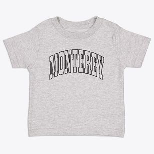 Monterey Virginia Trendy Block Toddler T-Shirt