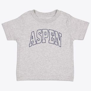 Aspen Colorado Trendy Block Toddler T-Shirt