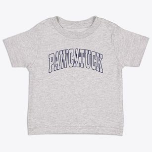 Pawcatuck Connecticut Trendy Block Toddler T-Shirt