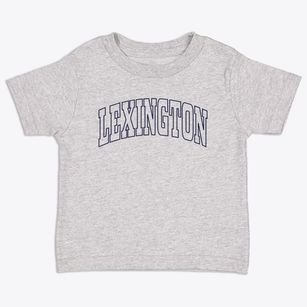 Lexington Ohio Trendy Block Toddler T-Shirt