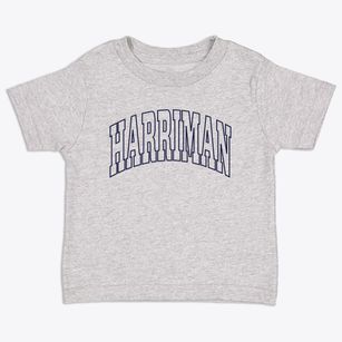 Harriman New York Trendy Block Toddler T-Shirt