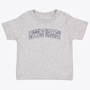 Little Valley New York Trendy Block Toddler T-Shirt
