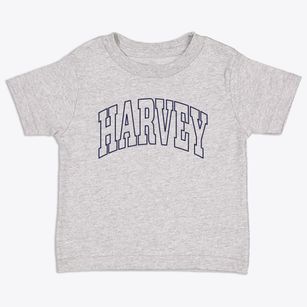Harvey Michigan Trendy Block Toddler T-Shirt