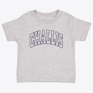 Challis Idaho Trendy Block Toddler T-Shirt