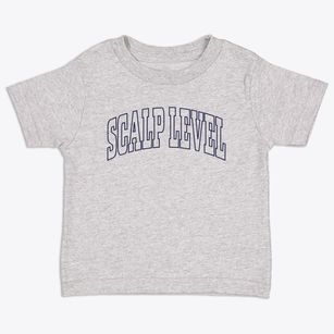 Scalp Level Pennsylvania Trendy Block Toddler T-Shirt