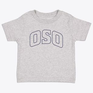 Oso Washington Trendy Block Toddler T-Shirt