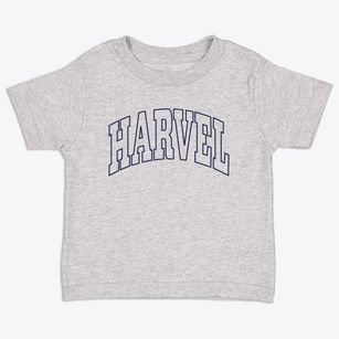 Harvel Illinois Trendy Block Toddler T-Shirt