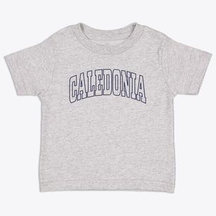 Caledonia Missouri Trendy Block Toddler T-Shirt
