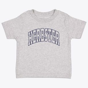 Herbster Wisconsin Trendy Block Toddler T-Shirt