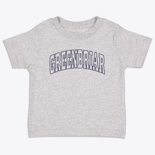 Greenbriar Virginia Trendy Block Toddler T-Shirt