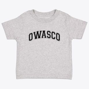 Owasco New York Varsity Toddler T-Shirt