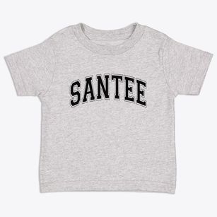 Santee South Carolina Varsity Toddler T-Shirt