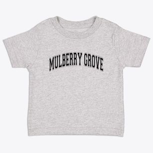 Mulberry Grove Illinois Varsity Toddler T-Shirt