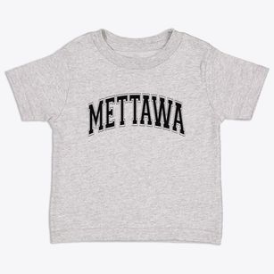 Mettawa Illinois Varsity Toddler T-Shirt