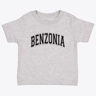 Benzonia Michigan Varsity Toddler T-Shirt