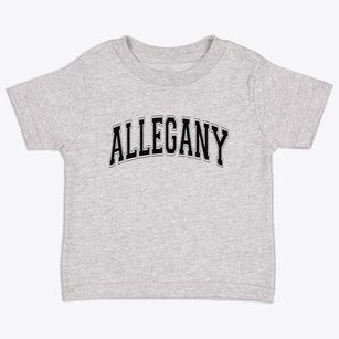 Allegany New York Varsity Toddler T-Shirt