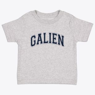 Galien Michigan Varsity Toddler T-Shirt