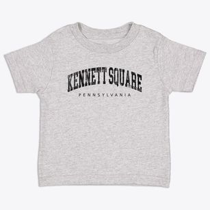 Kennett Square Pennsylvania Urban Vibe Toddler T-Shirt