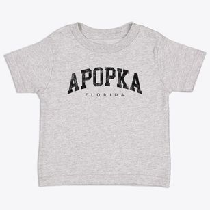 Apopka Florida Urban Vibe Toddler T-Shirt