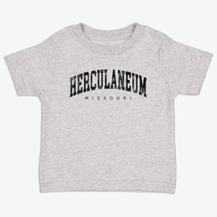 Herculaneum Missouri Urban Vibe Toddler T-Shirt