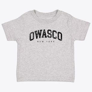 Owasco New York Urban Vibe Toddler T-Shirt