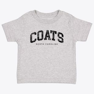 Coats North Carolina Urban Vibe Toddler T-Shirt