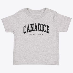 Canadice New York Urban Vibe Toddler T-Shirt