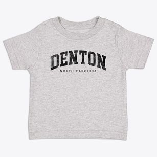 Denton North Carolina Urban Vibe Toddler T-Shirt