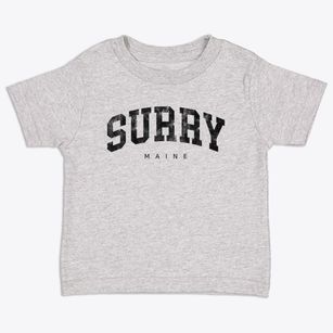 Surry Maine Urban Vibe Toddler T-Shirt