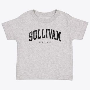 Sullivan Maine Urban Vibe Toddler T-Shirt