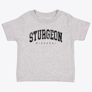 Sturgeon Missouri Urban Vibe Toddler T-Shirt