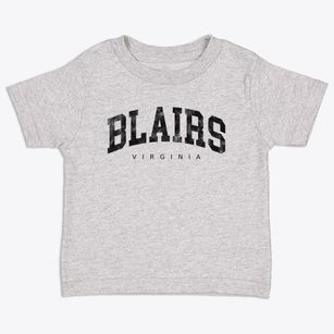 Blairs Virginia Urban Vibe Toddler T-Shirt