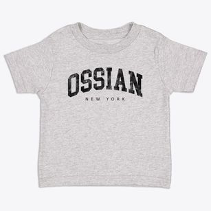 Ossian New York Urban Vibe Toddler T-Shirt